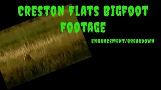 Creston Flats Bigfoot Footage | Breakdown