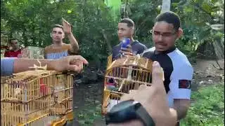Fêmea doida de verdade 😧