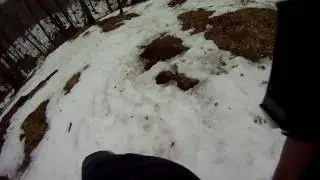 Mount Greylock Thunderbolt Trail