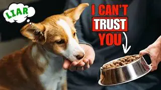 How Dogs Can Recognize a Bad Person (And Other INCREDIBLE Dog Abilities Explained)