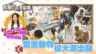 尋找喵喵的故事 ｜EP6 PT2｜Lolly Talk 阿妹聲音導航 愛護動物 從大澳出發 ｜ Lolly Talk ｜ HOYTV