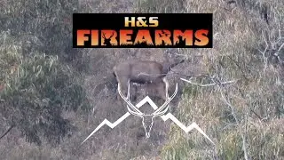 DSOON trail camera review. (Sambar deer hunting).