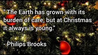 Christmas Festive Quotes / Merry Christmas Quotes...Wish You All Merry Christmas