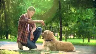 Lure-Based Training