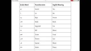 Arabic Words That Instantly Upgrade Your Conversation | كلمات عربية ترفع مستوى حديثك فورًا