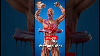 What Happens Inside Your Body When You Smoke? | 3D Medical Animation Explained