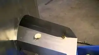 Onion Top Tail Cutting Machine