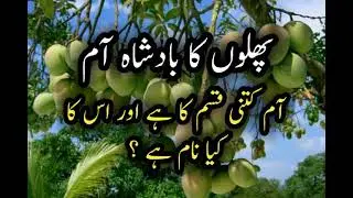 Pakistan Names of Mangoes | Mango Name| Mango Viral Video Types of Mangoes | آم کی اقسام اور نام