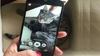Camera Review of Acer Liquid Z630S Phone (Photo Shoots & Video)