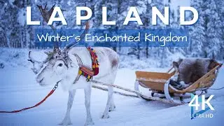 Lapland Winter Wonderland: Silent Forests & Arctic Beauty in 4K