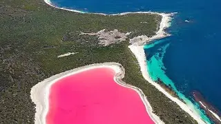 lakes pink