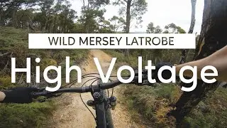 Wild Mersey - High Voltage