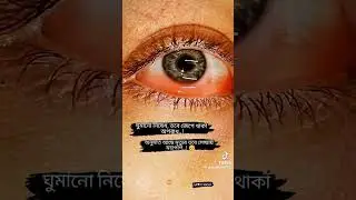 sad video  short #bangladesh #lima # life style blog # 2023 #bangladesh #bangla