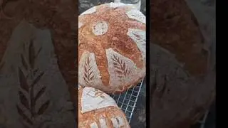 Sourdough bread scoring #sourdough #sourdoughbread  #homemadebread