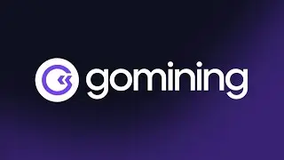 GoMining Road to Millionaire - 1st Year Review - Detailed Analysis