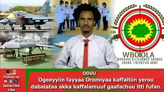 GMN: Oduu Amajjii 29/2026.