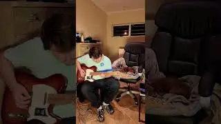 Sum 41 - Underclass hero SOLO (guitar cover) #cover #guitarcover #sum41 #guitar #fender