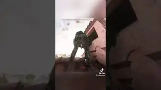 Taco Bell execution