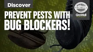 Prevent Pests with Bug Blockers! | DISCOVER