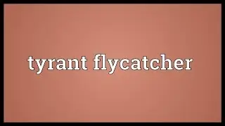 Tyrant flycatcher Meaning
