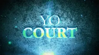 Specialty Court: Young Offender Court