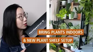 Moving Plants Indoors + Setting up Grow Lights (PlantSpectrum) + Plant Shelf Tour!