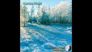 Confluence // Aurora Frost // #pianoambient #ambientmusic #electronicmusic