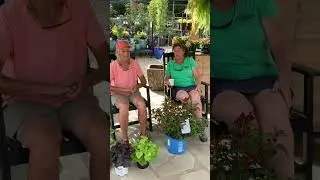 The Shady Ladies w/ a surprise ending!