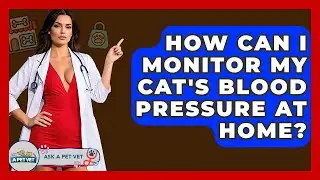 How Can I Monitor My Cat's Blood Pressure At Home? - Ask A Pet Vet