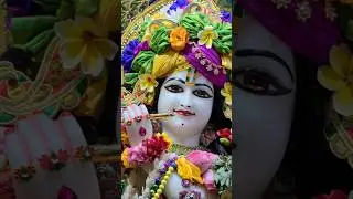 Prabhu ❤❤🙏🙏🌸🌸 #shyam #radhakrishna #radheradhe #reels #shortsviral #video#premanandji #shorts #love