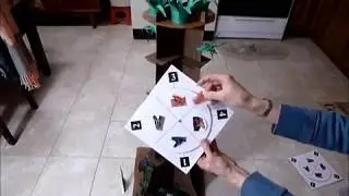 How to play the Poison Dart Frog Game