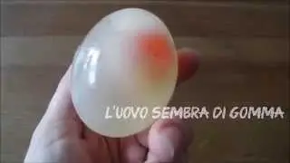 L'uovo rimbalzante