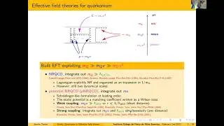 Exotic Quarkonia in Effective field theory (Jaume Tarr&uacute;s Castell&agrave;)
