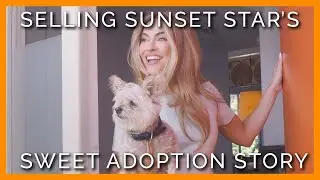 Chrishell Stause Shares Her Heartwarming Dog Adoption Story With PETA