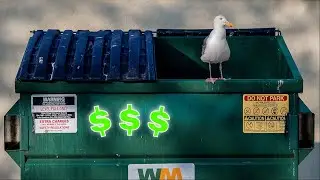 Dumpster Diving 