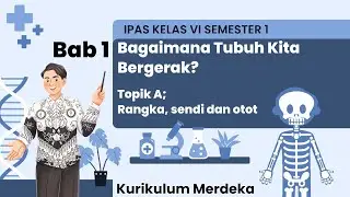 Pembelajaran IPAS Kelas 6 Bab 1 Bagaimana Tubuh  Kita Bergerak, Topik A Rangka, Sendi dan Otot