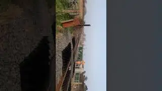 EWS goods train 6607