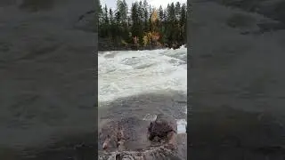 Storforsen 4