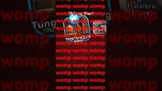womp wkmp