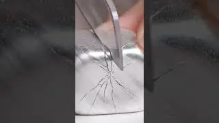 Platinum crystal candy sliced open.Soft icy powder inside, clean glass cracks outside. 🤍🎧 #shorts