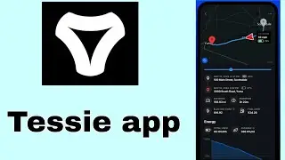 Tessie App Review 2025 &ndash; The Best Tesla Companion for Tracking, Control and Automation