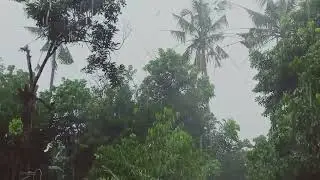 Extreme Heavy Rain and Strong Wind 🌧️ Real Storm Ambience for Sleep & Relaxation