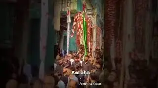Amroha ka matam #short #short