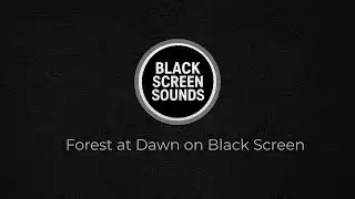 Forest at Dawn on Black Screen | 3 Hours of Deep Sleep Ambience
