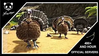 The Best Way To Farm Super Turkeys | ARK: Survival Evolved