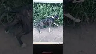 Пора начинать уборку мусора!