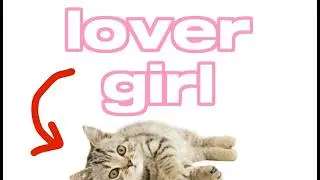 lover girl 💞 [cats! 😼]
