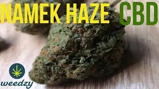 NAMEK HAZE CBD - weedzy.com