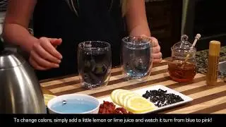 Black Goji Berry