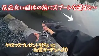 【朝霞ガーデン】クリスマスの朝霞ガーデンてどうなの？【エリアトラウト】